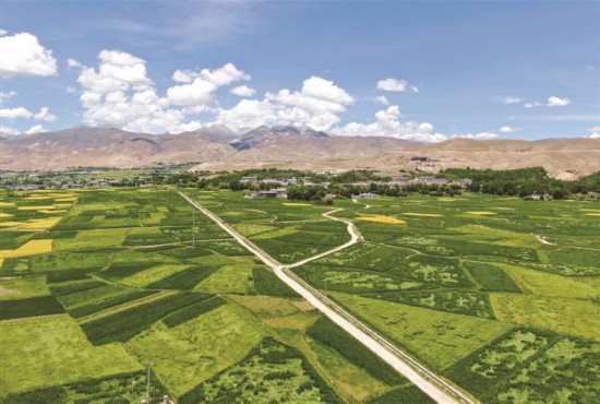 ����ȫ������������ͨ�ͳ��ʱ���100